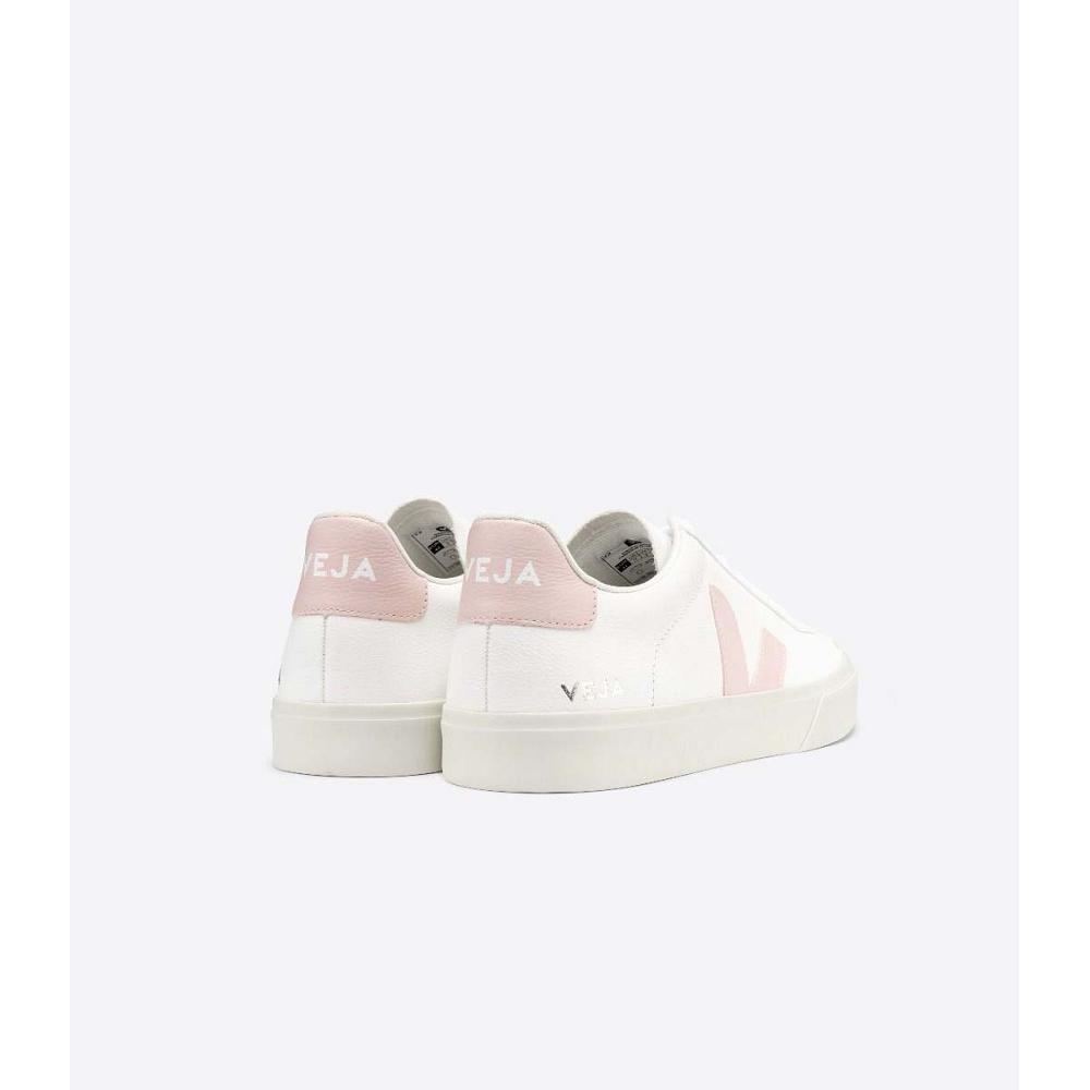 Veja CAMPO CHROMEFREE Low Tops Sneakers Dames White/Pink | NL 463KOR